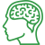 brain
